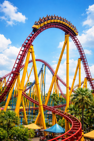 Rehab Roller Coaster